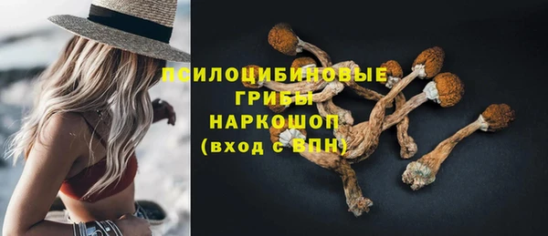 apvp Корсаков