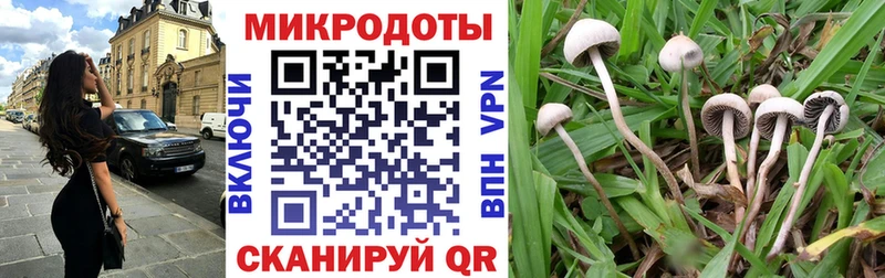 Псилоцибиновые грибы прущие грибы  купить закладку  Магас 